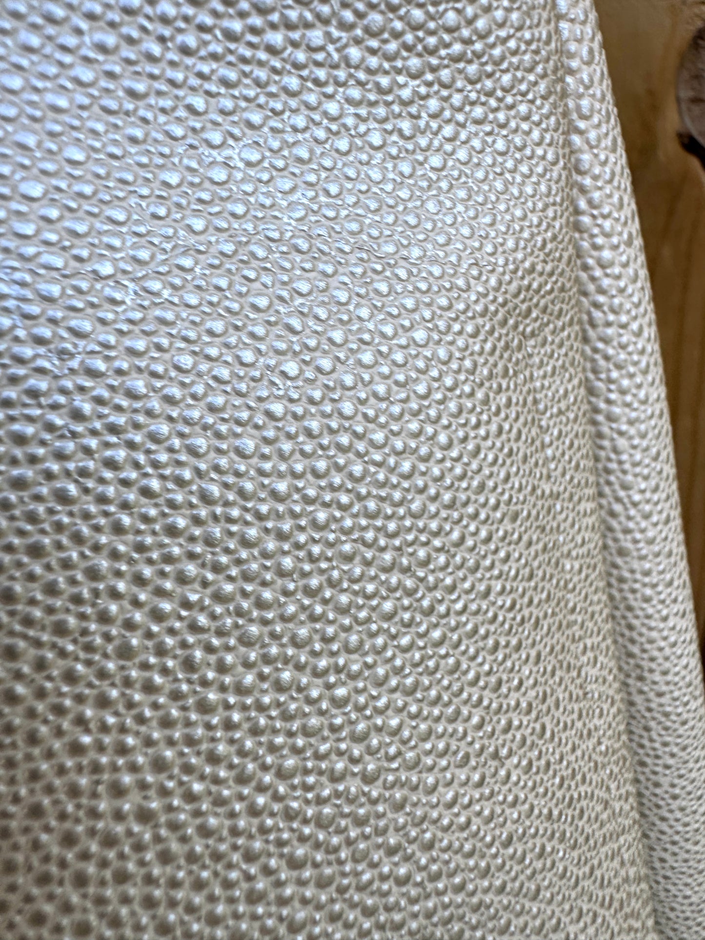 The Tall Bouy Bag in Shagreen Vinyl Sand Dollar
