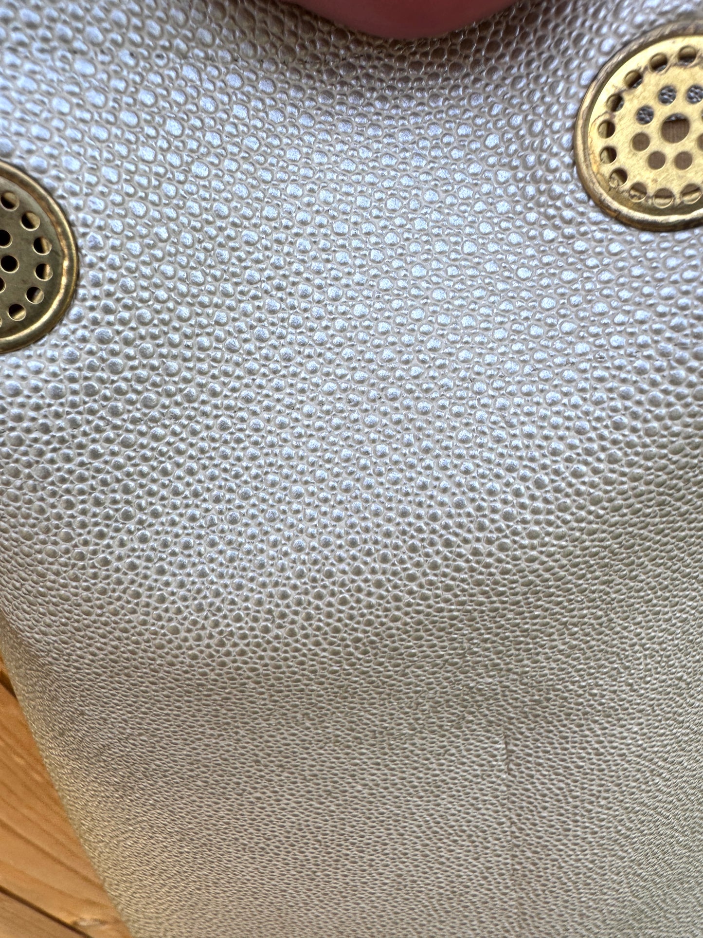 The Tall Bouy Bag in Shagreen Vinyl Sand Dollar