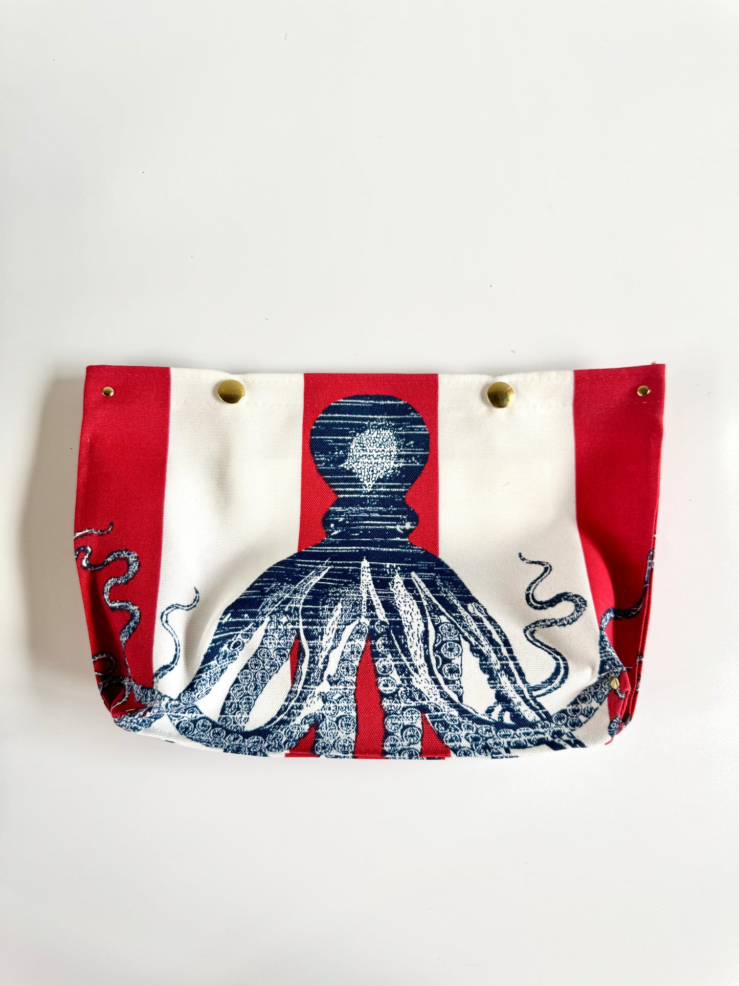 Itty Bitty Ditty American Cephalopod