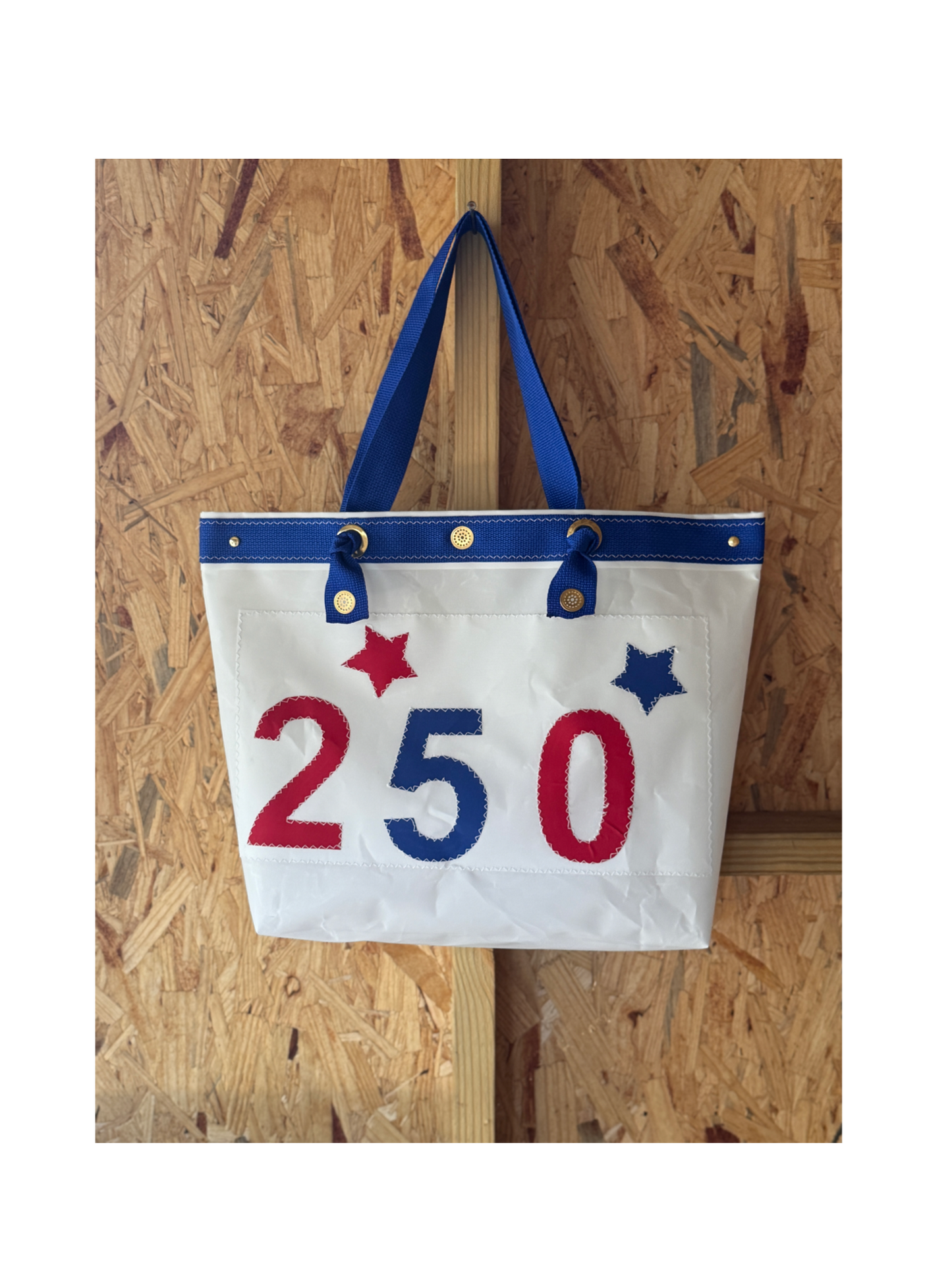 250 Celebration Preppy Shoulder Bag