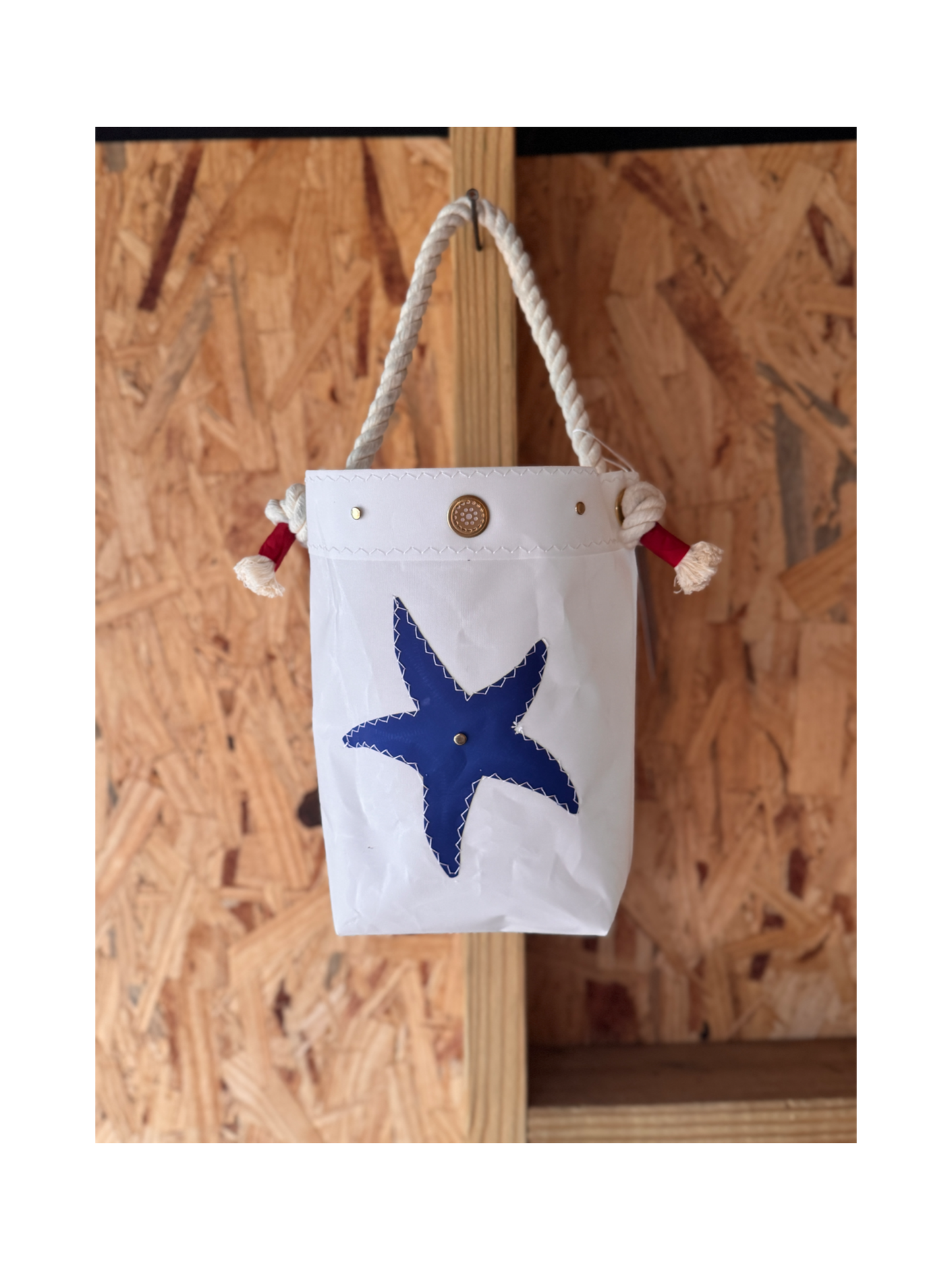 The Shrimpy - Blue Starfish