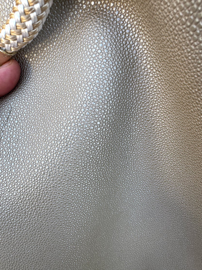 The Tall Bouy Bag in Shagreen Vinyl Shark