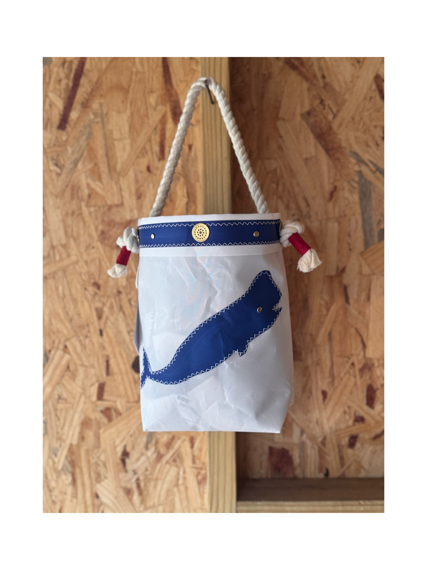 The Shrimpy - Breaching Blue Whale