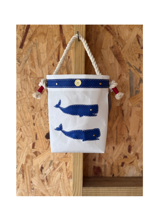 The Shrimpy - Whale Friends